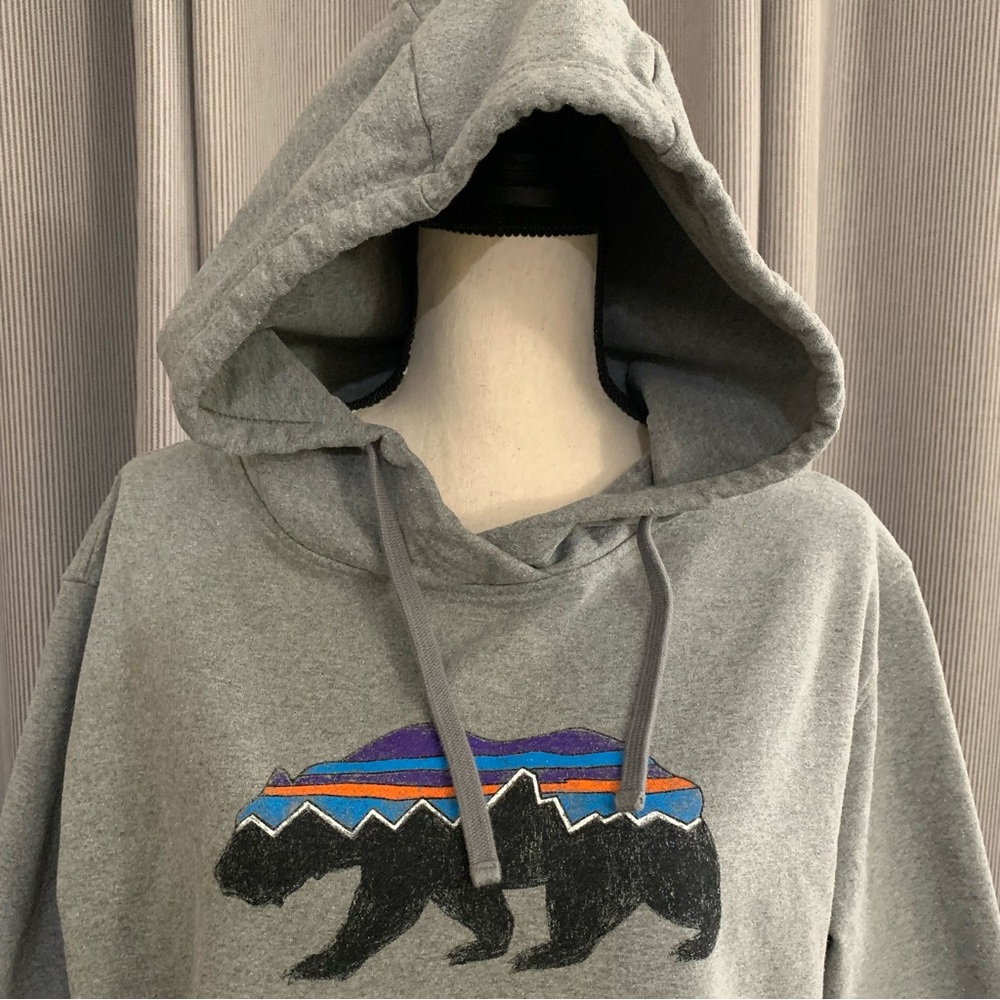 Patagonia hoodies - Picture 4 of 9